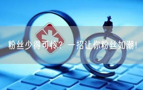 粉丝少得可怜？一招让你粉丝如潮！