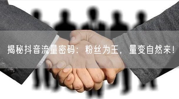 揭秘抖音流量密码：粉丝为王，量变自然来！