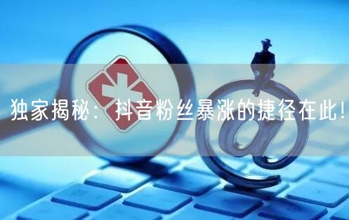 独家揭秘：抖音粉丝暴涨的捷径在此！