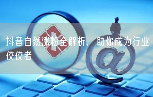 抖音自然涨粉秘籍：从创作到运营，速成行业佼佼者