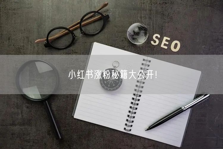 小红书涨粉秘籍大公开！