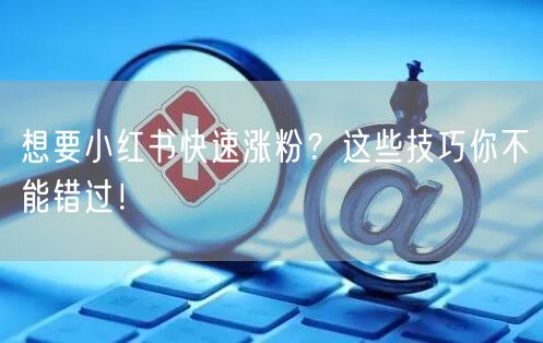 想要小红书快速涨粉？这些技巧你不能错过！