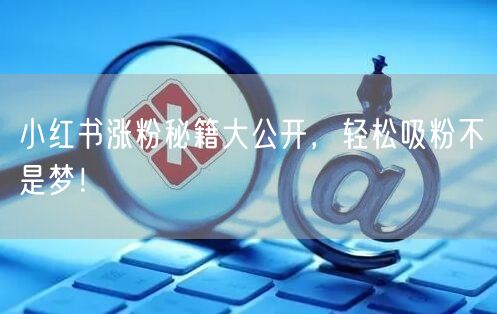 小红书涨粉秘籍大公开，轻松吸粉不是梦！