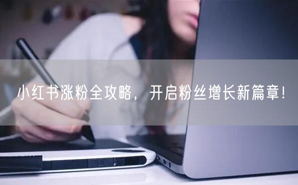 小红书涨粉全攻略，开启粉丝增长新篇章！