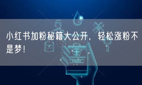 小红书加粉秘籍大公开，轻松涨粉不是梦！