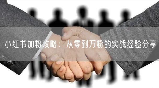 小红书加粉攻略：从零到万粉的实战经验分享
