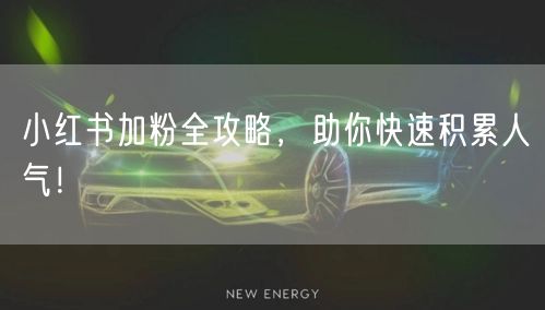 小红书加粉全攻略，助你快速积累人气！
